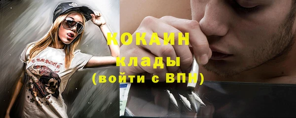 стаф Алексин