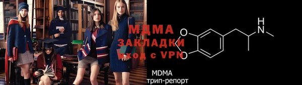 стаф Алексин