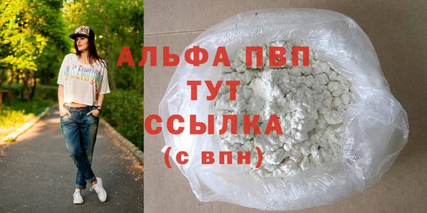 стаф Алексин