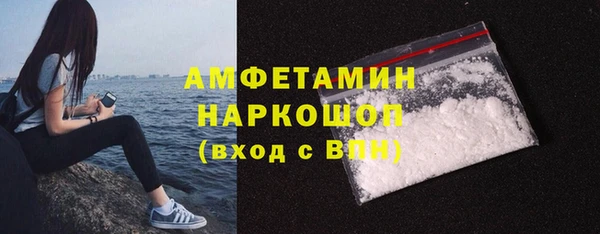 стаф Алексин